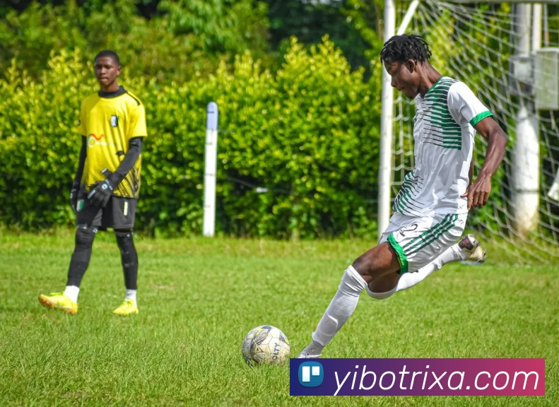 App Interface Preview