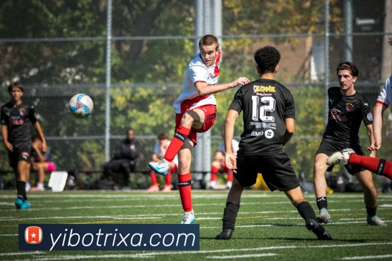 YIBO亿博官网APP 封面图